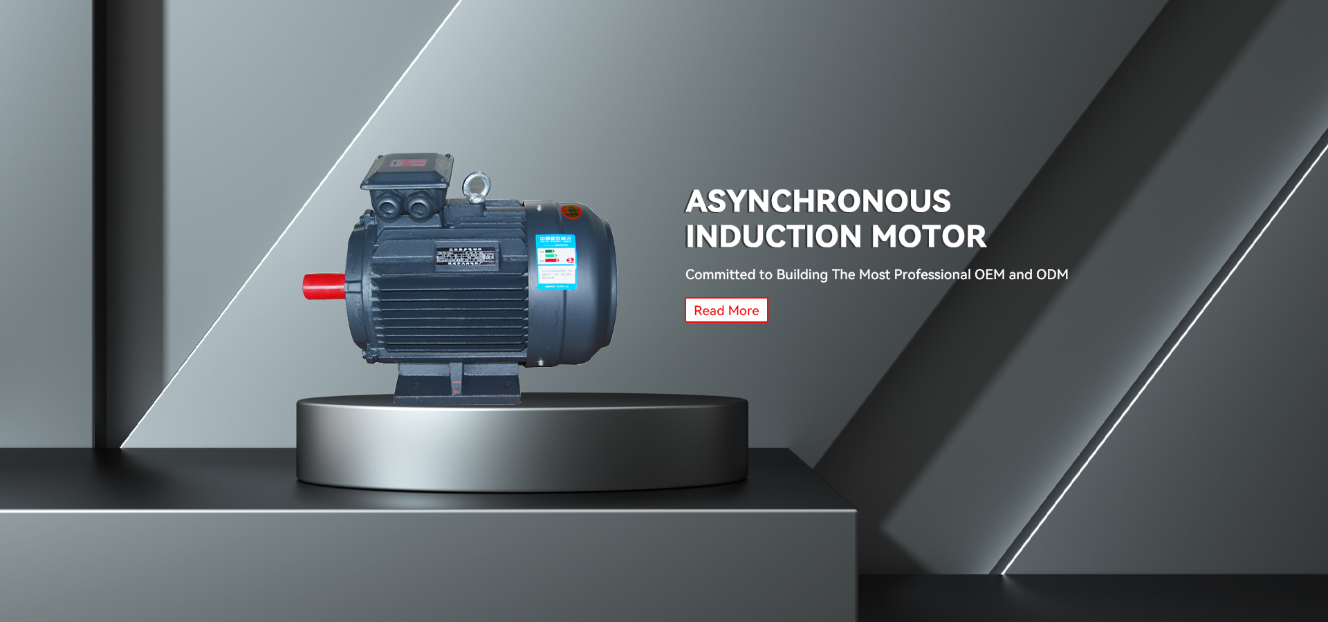 Asinxron induksion motor zavodi